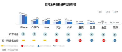 互聯網數據中心199IT的軟件外包服務 驅動業務創新的可靠伙伴
