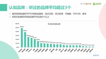 199it 中國互聯(lián)網(wǎng)數(shù)據(jù)服務(wù)的先驅(qū)與價(jià)值引擎